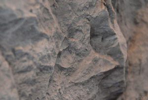canyon gris dekoratif tas m2 fiyatlari