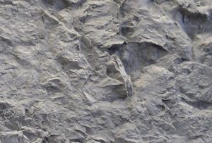 Canyon Panel • Gris