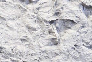 Canyon Panel • Blancura