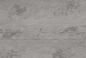 Roughast • Gris