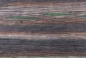 Wood Shell • Marron